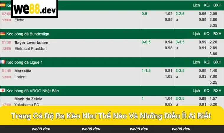 trang cá độ ra kèo như thế nào